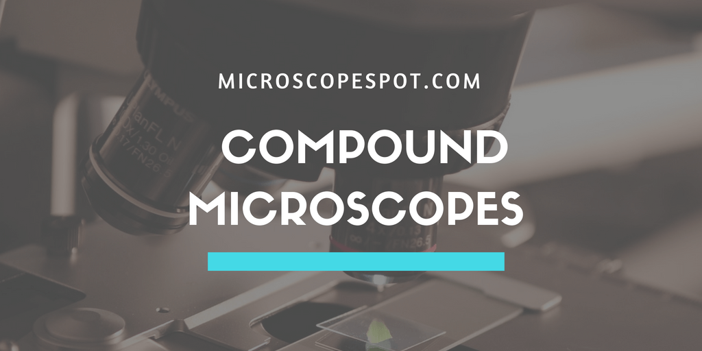 Best Compound Microscope
