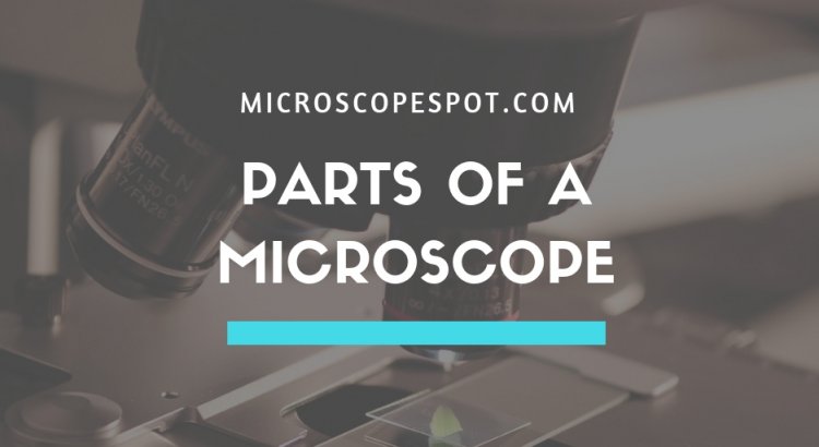 PARTS OF A MICROSCOPE